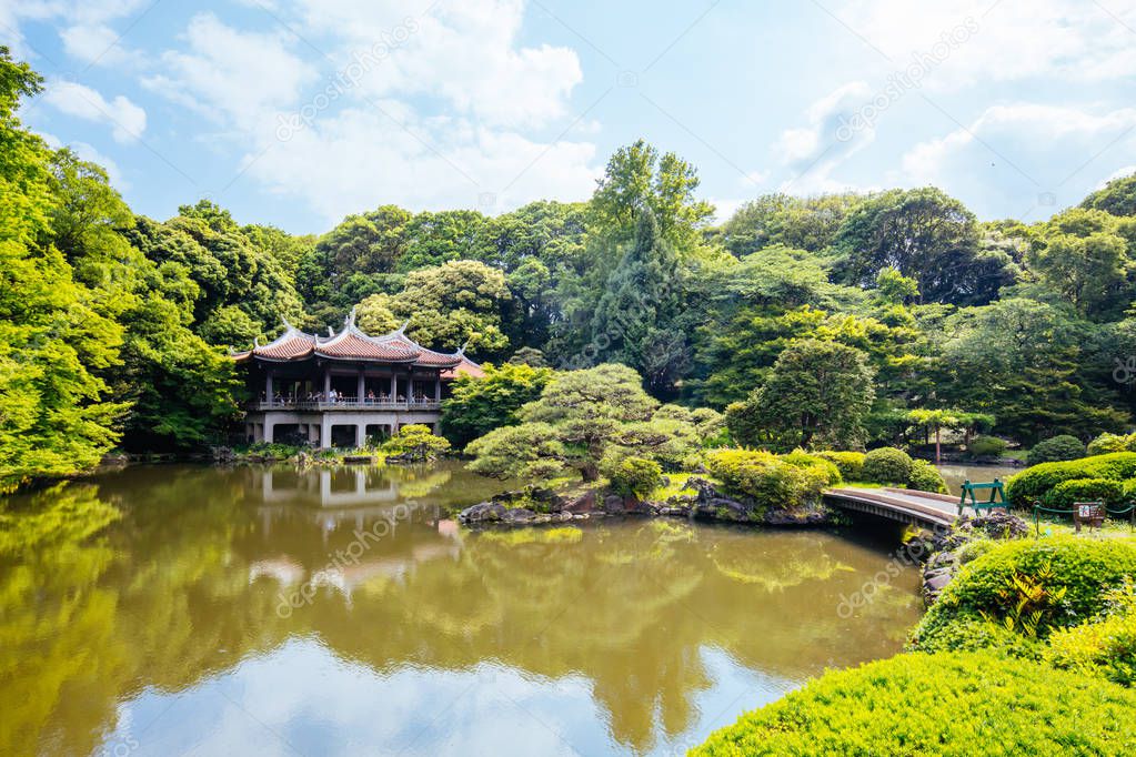 Shinjuku Gyoen National Garden in Tokyo