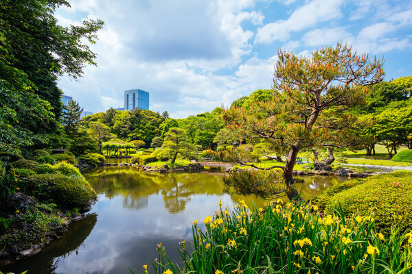 Shinjuku Gyoen National Garden in Tokyo