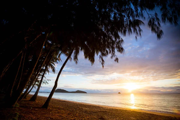 Palm Cove Beachfront — Stok fotoğraf