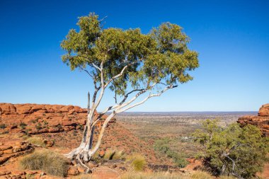 Krallar Kanyonu Kaya oluşumu