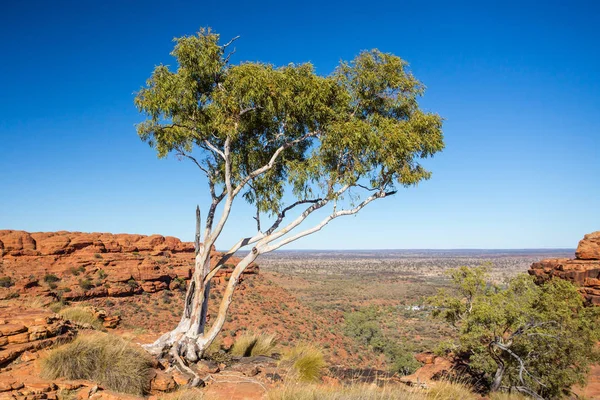 Krallar Kanyonu Kaya oluşumu