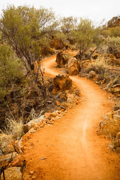 Vue du désert de l’Outback — Photo