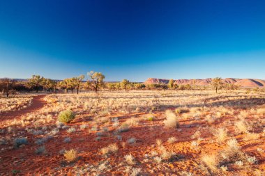 Günbatımında Krallar Kanyonu