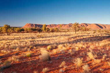 Günbatımında Krallar Kanyonu