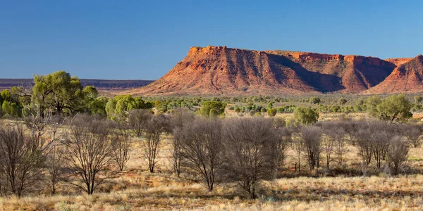 Kings Canyon al atardecer —  Fotos de Stock