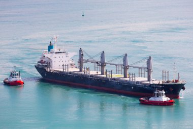 Napier Limanı Yeni Zelanda