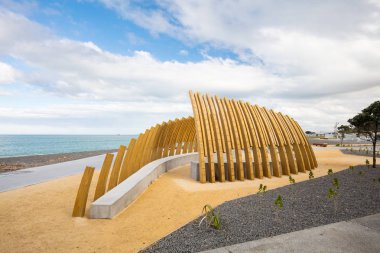 Balina Kemik Yapısı Napier