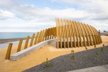 Balina Kemik Yapısı Napier