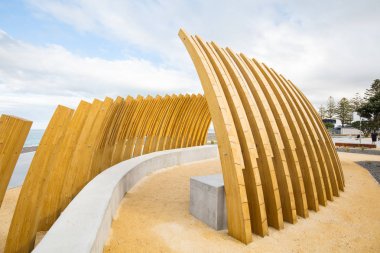 Balina Kemik Yapısı Napier