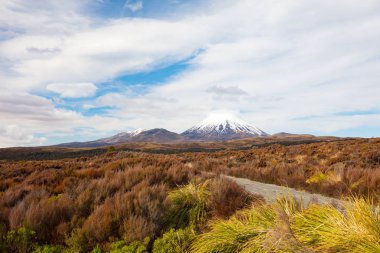 MT Ngauruhoe manzara
