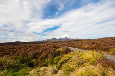 MT Ngauruhoe manzara