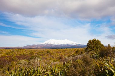 MT Ngauruhoe manzara