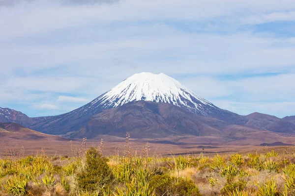 Mt Ngauruhoe Paisagem — Fotografia de Stock