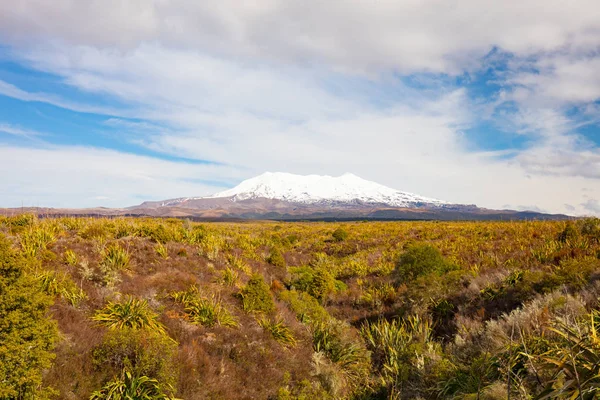 Mt Ngauruhoe Paisagem — Fotografia de Stock