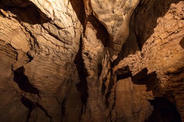 Ruakuri mağaraları Waitomo