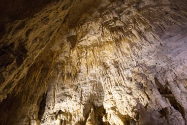 Ruakuri mağaraları Waitomo