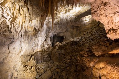 Ruakuri mağaraları Waitomo