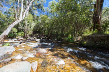 Delatite Nehri Mirimbah