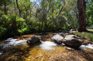 Delatite Nehri Mirimbah