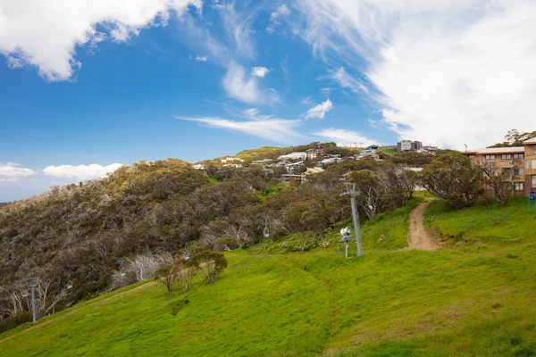 Mount Buller View in Summer