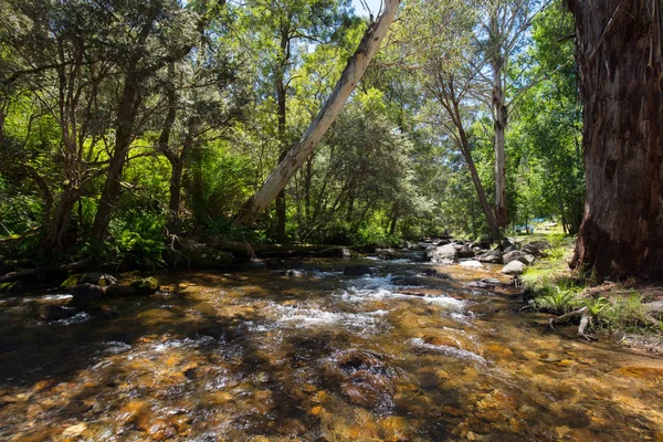 Delatite River Mirimbah — Stockfoto