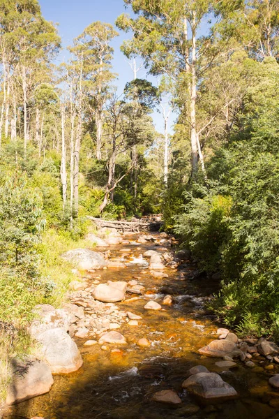 Sendero del río Delatite en Mt Buller — Foto de Stock