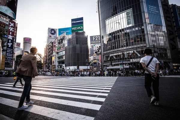 Shibuya Attraversando Tokyo Giappone — Foto Stock
