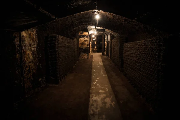 Underground Wine Cellar — Stock Photo, Image