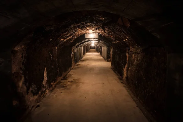 Bodega subterránea — Foto de Stock