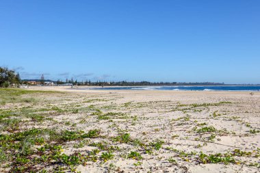 Kingscliff Beach Avustralya