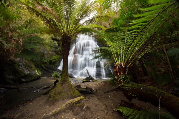 Henderson fällt Kapuze otway — Stockfoto