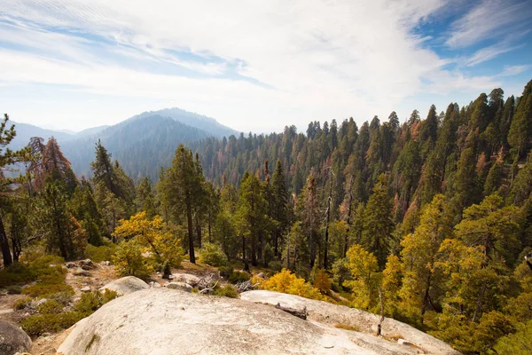 Sequoia National Park Lookout — Stockfoto