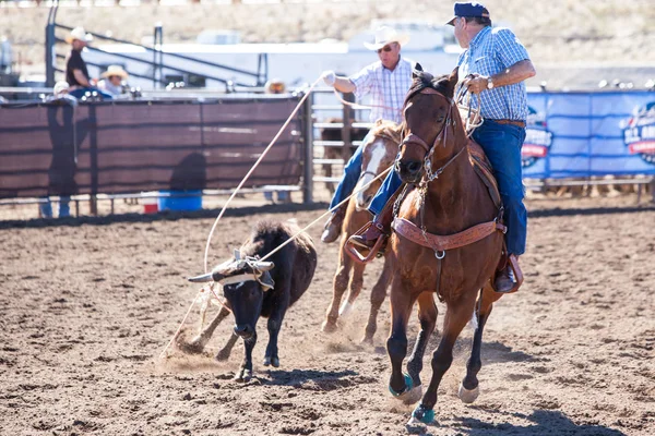 Team Roping Competition — Stock Photo, Image