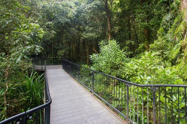 Mossman Gorge Pathway