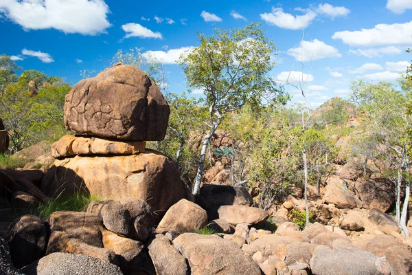 Paysage OBriens Creek — Photo