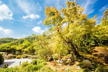 Tenryu-ji Bahçesi ve Kyoto Tapınağı Japonya