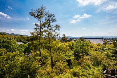 Tenryu-ji Bahçesi ve Kyoto Tapınağı Japonya