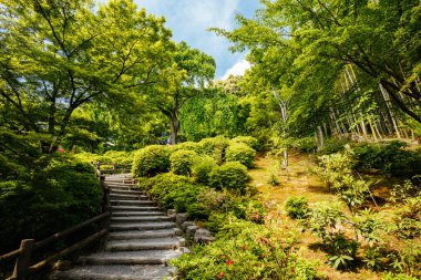 Tenryu-ji Bahçesi ve Kyoto Tapınağı Japonya