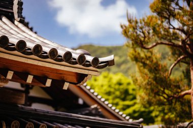 Tenryu-ji Bahçesi ve Kyoto Tapınağı Japonya