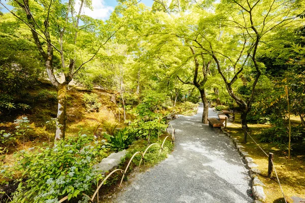 Tenryu-ji花园和京都圣殿 免版税图库照片