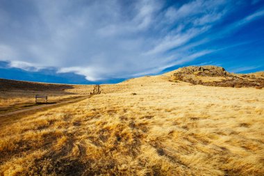 Mt John Walkway Lake Tekapo Güneşli Bir Gün Yeni Zelanda'da