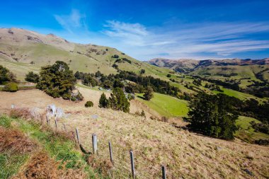 Yeni Zelanda'da Güneşli Bir Günde Bankalar Yarımadası