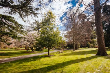 Yeni Zelanda 'daki Christchurch Botanik Bahçeleri