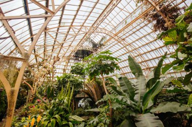 Christchurch Botanik Bahçeleri Konservatuarı Yeni Zelanda