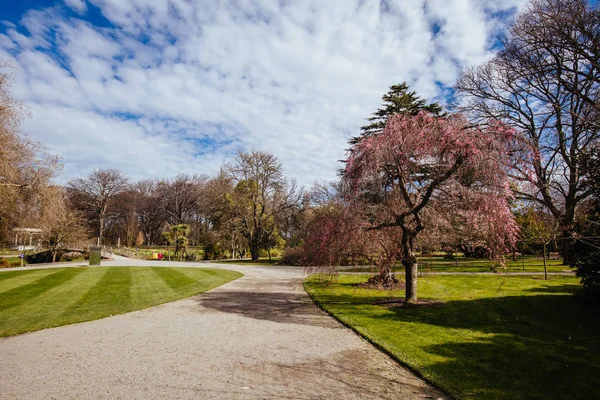 Christchurch Botanic Gardens in New Zealand — Stock Photo, Image