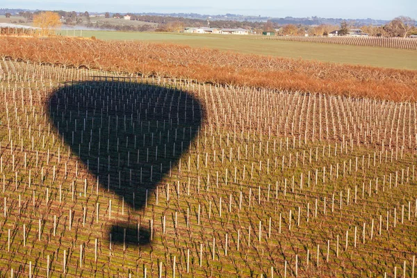 Hot Air Balloon At Sunrise in Australia — Stock Photo, Image