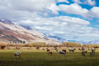 Landscape around Glenorchy and Paradise in New Zealand clipart