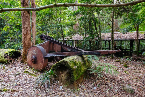 Promenade Cougal Cascades dans le QLD Australie — Photo