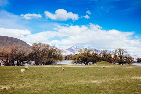 Yeni Zelanda 'daki Glenorchy ve Paradise çevresindeki manzara — Stok fotoğraf
