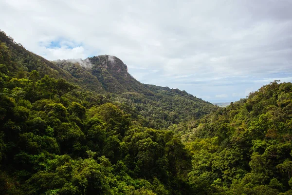 Zobrazení z Kuranda Scenic Railway v Austrálii — Stock fotografie